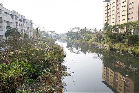 File photo of Cooum