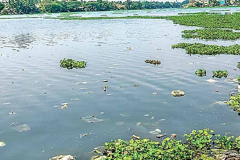 Worker stranded in Velachery lake rescued