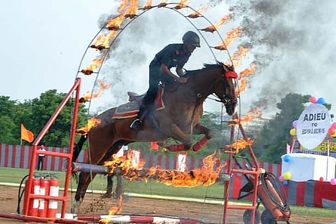 A cadet demostrating equestrian skills at the OTA by jumping through a ring of fire at OTA, Chennai.