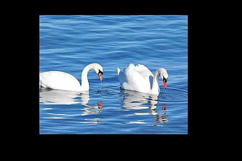 Life lessons: Rise above your problems, everyone has one