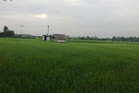 Representative Image.(Photo | Reuters)