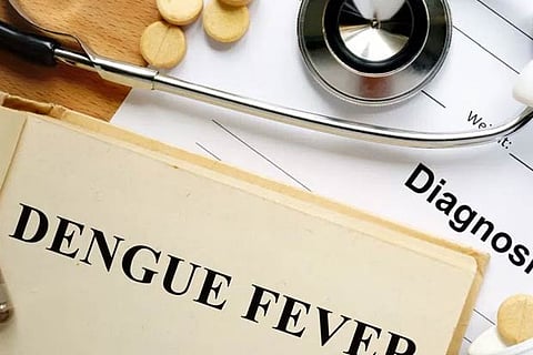 Pondy CM seeks Rs 30 cr from Centre to fight dengue