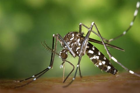 Representative Image