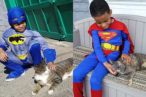 Dressed up as superhero, 5-yr-old helps homeless cats