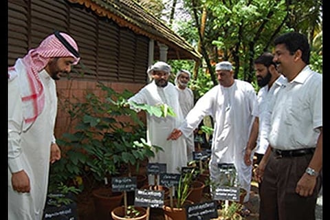 Foreigners at Punarnava Ayurveda Hospital, Kochi