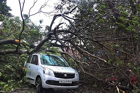 A car damaged as uprooted trees fall over it due to heavy rain and strong winds, in Thiruvananthapuram