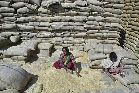 India to seek permanent solution to food stock issue at WTO