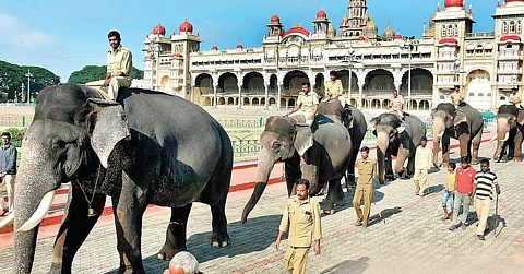 Dasara in Mysuru: Tent School for education of mahouts' children receives makeover. What's the upgrade?