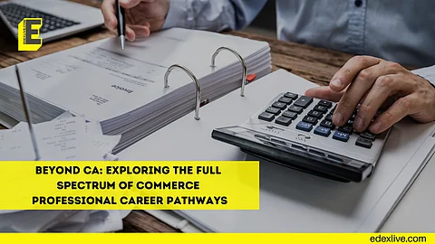 Commerce professional career pathways