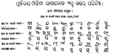 Introduction of local languages a gradual process: Odisha Higher Education Council 