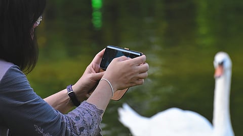 ಪಿಕ್ಸೆಲ್ ಎಂಬ ಹೆಸರು 'ಪಿಕ್ಚರ್ ಎಲಿಮೆಂಟ್' ಎನ್ನುವುದರ ಹ್ರಸ್ವರೂಪ