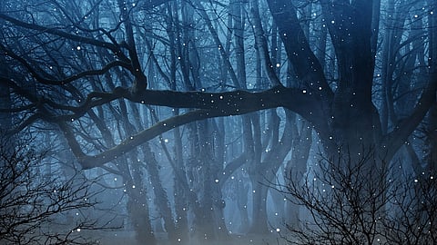 ಮಿಂಚುಹುಳಗಳ ಮಿಂಚಿನ ಹಿಂದಿರುವುದು ಒಂದು ರಾಸಾಯನಿಕ ರಹಸ್ಯ!