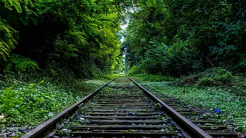 ಮಾನವ ನೆಮ್ಮದಿಯಿಂದ ಬದುಕುಳಿಯಬೇಕಾದರೆ ನಿಸರ್ಗ ಸುಸ್ಥಿರವಾಗಿರಬೇಕು