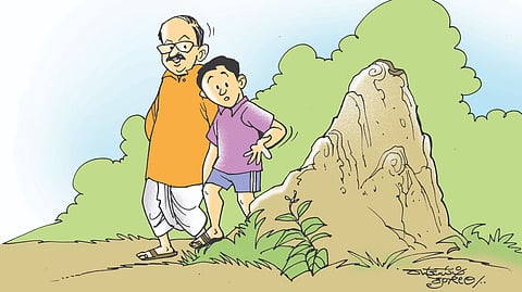 ಹುತ್ತದ ಥರಾ ಮನೆ ಕಟ್ಟಿಕೊಂಡರೆ ಅದಕ್ಕೆ ಏಸಿ ಹಾಕಿಸುವುದೂ ಬೇಡ, ಕರೆಂಟಿಗಾಗಿ ಕಾಯುವುದೂ ಬೇಡ!