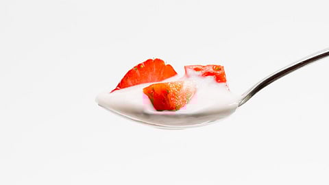 ಸಾಮಾನ್ಯವಾಗಿ ಪ್ರೋಬಯೊಟಿಕ್ ಎಂದರೆ ಹಾಲಿನ ಉತ್ಪನ್ನಗಳೇ ಆಗಿದ್ದು, ಅದರೊಳಗೆ ಜೀವಂತ ಉಪಕಾರಿ ಬ್ಯಾಕ್ಟೀರಿಯಾ ಇರುತ್ತವೆ.