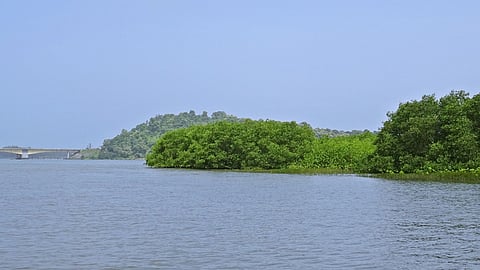 ಪರಿಸರ ಸಂರಕ್ಷಣೆ ಅಥವಾ ಪರಿಸರ ವ್ಯವಸ್ಥೆಯ ಪುನಃಸ್ಥಾಪನೆ ಎನ್ನುವುದು ಕಾಡಿನ ಪಕ್ಕದಲ್ಲಿರುವ, ನದಿಯ ದಂಡೆಯಲ್ಲಿರುವ ಜನರು ಮಾತ್ರವೇ ಮಾಡಬೇಕಿರುವ ಕೆಲಸವಲ್ಲ.