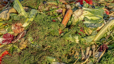 ಅಂಗಡಿಗಳು, ಹೋಟಲ್ ಉದ್ಯಮ ಹಾಗೂ ಗ್ರಾಹಕರ ಮಟ್ಟದಲ್ಲಿ ವ್ಯರ್ಥವಾಗುವ ಆಹಾರಕ್ಕೆ ಆಹಾರ ತ್ಯಾಜ್ಯ ಅಥವಾ ಫುಡ್ ವೇಸ್ಟ್ ಎಂದು ಹೆಸರು.