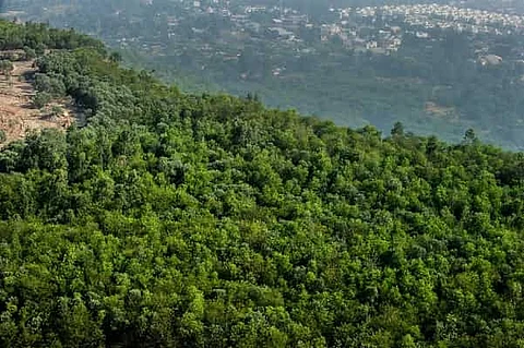 Coal, lignite PSUs to develop 19 new eco-parks, to spend Rs 128 crore on green cover