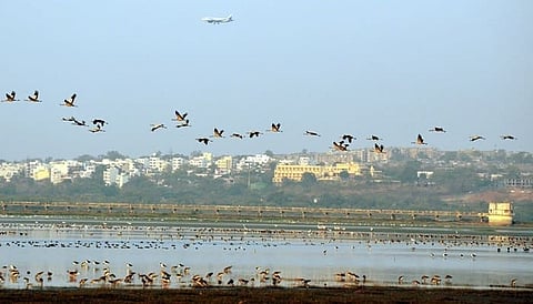 Indore, Bhopal & Udaipur could be India's first wetland cities