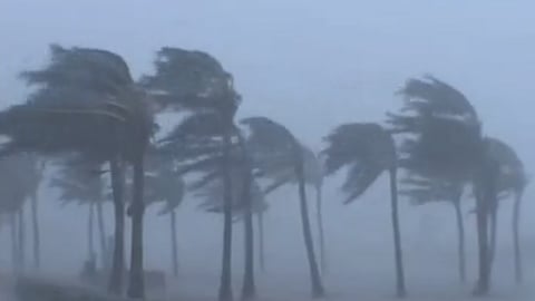 Bihar Weather Alert: Heavy Rain, Thunderstorms and Gusty Winds Forecasted in Multiple Districts