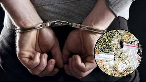 MNS Bhiwandi City Vice-President Arrested With Nearly 4 Kg of Ganja