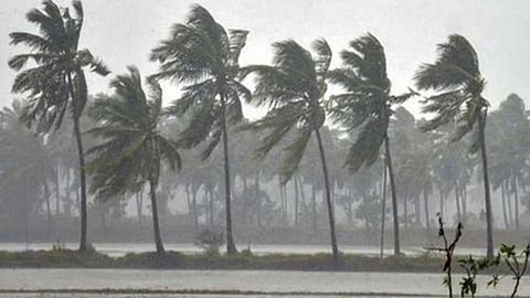 Marathwada Deluge: Jalna Leads with Record Rainfall as 680 Villages Hit