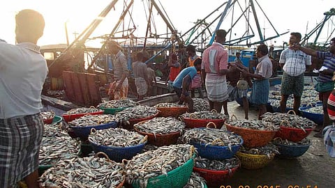 Fishing Ban from June 1: Maharashtra Government Issues Order Amid Early Monsoon — Will Fish Prices Rise?