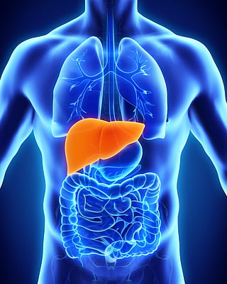 Liver Damage Causes: Not Just Alcohol, These Everyday Drinks Could Also Harm Your Liver