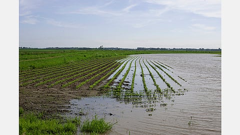 Heavy rain in Chhatrapati Sambhajinagar: Relief for farmers