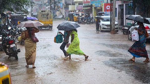 Monsoon Revives in Maharashtra: IMD Warns of Intense Rain in Konkan and Mumbai