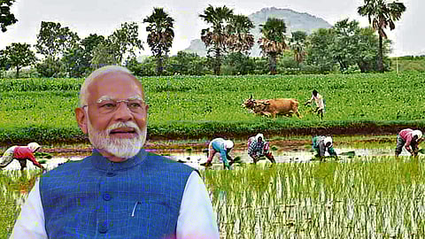 PM Narendra Modi : After Diwali Modi government announces two new schemes for farmers, find out how to avail benefits?