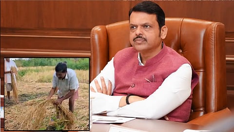 Palghar News: Should it be called a mockery by the government? Compensation of 2 Rupees 30 Paise as Aid to Farmer Affected by Unseasonal Rain Damage...