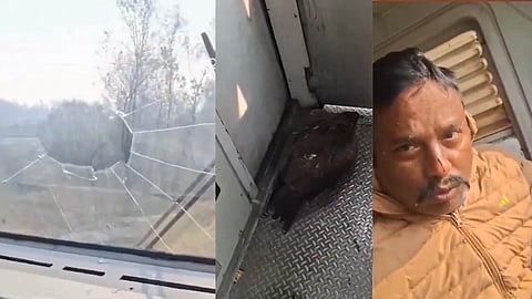 Eagle Hits Train Windscreen : The Flight of a Fast-Flying Eagle onto a Moving Train! Directly Breaking Through the Glass into the Driver's Cabin; A Major Disaster Averted