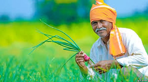 Major Update for PM Kisan! Big Blow to 'These' Farmers, Find Out Why...