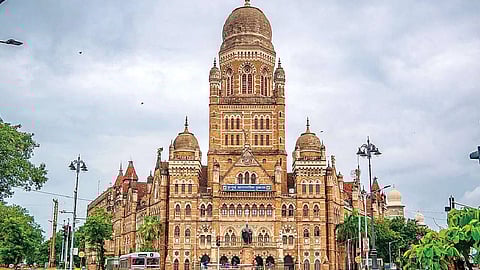 Strict Inspection by Municipal Administration on New Year's Arrival, Direct Action at 59 Places