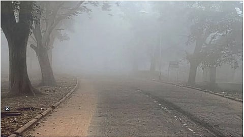 Cold to Increase in Maharashtra Until January 2...