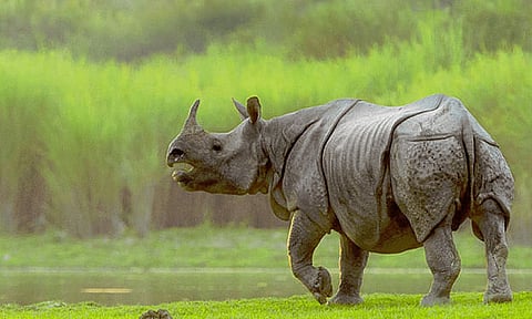 Forest Department organized meet on flood preparedness in Kaziranga