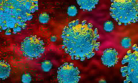 COVID-19: 6 Golaghat areas no longer containment zones