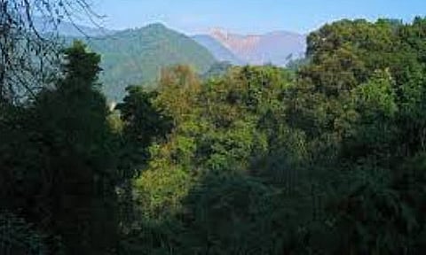 2.7 lakh trees may be cut in Arunachal Pradesh for hydropower project