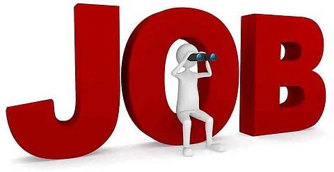 Director Of Health Services