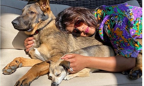 Priyanka Chopra's new picture packed with sunshine, cuddles