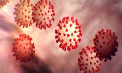 Mystery decoded: Why men are dying more from COVID-19 than women