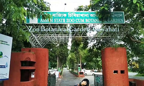 Assam State Zoo staff get 500 masks to fight against COVID-19