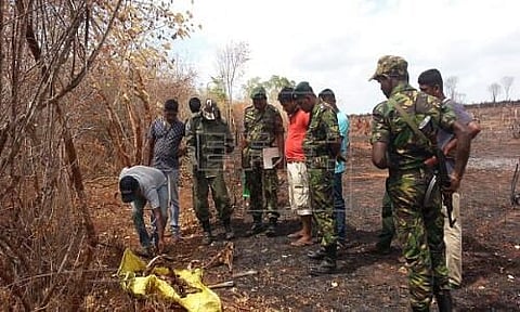 Spike in Sri Lanka wildlife poaching during Islandwide curfew