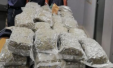 210 kg cannabis seized from a container truck, 2 arrested