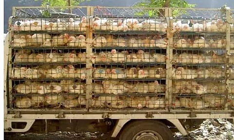 Makum Regional Students' Union (MRSU) expresses concern over several incidents in Mukum