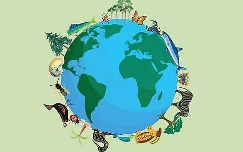 Biodiversity loss is loss for humanity