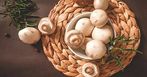 Expert suggested dietary source to get a daily dose of 'Sunshine Vitamin'