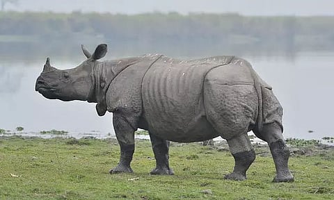 Poachers, smugglers across Tripura having a field day during lockdown