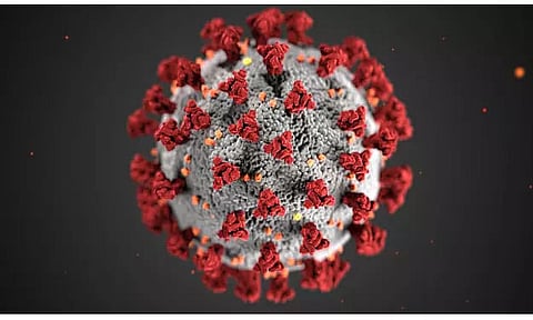 Dima Hasao no longer corona-free district of Assam